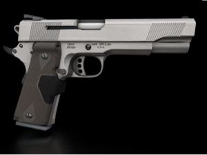 45 acp 3D Model