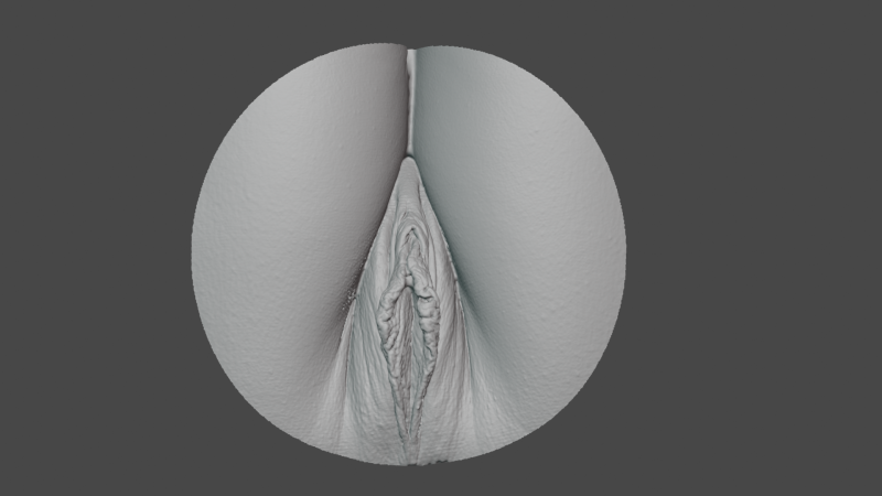 Anatomy of the Vagina 3D Model .c4d .max .obj .3ds .fbx .stl .blend