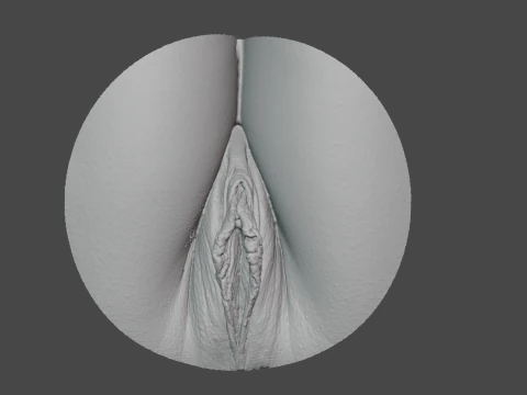 Anatomia da Vagina Modelo 3D