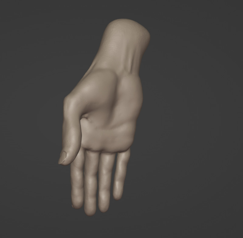 高聚女性手 3D 模型 .c4d .max .obj .3ds .fbx .stl .blend 