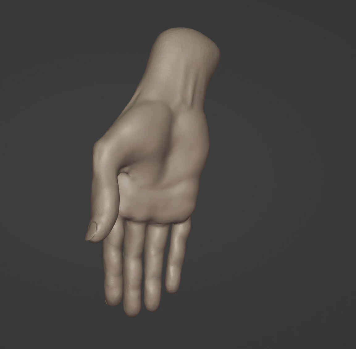 High-Poly Women Hand 3D Model .c4d .max .obj .3ds .fbx .stl .blend