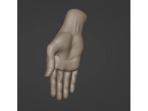 Mano femminile ad alto numero di poligoni Modello 3D