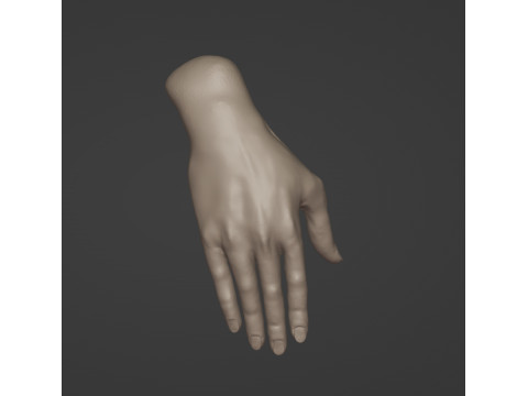 高聚女性手 3D 模型