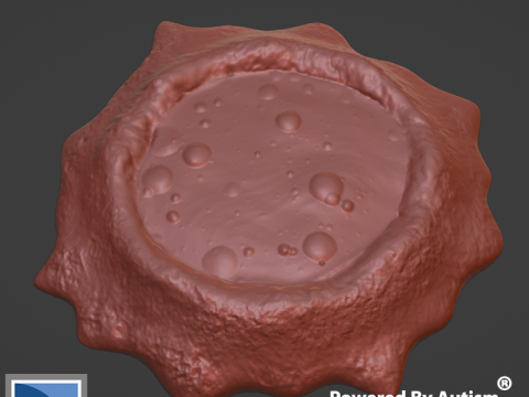 Toxic Pool Model Cetak 3D