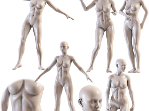 Female mannequin collection vol 04 Pbr Low Poly 3D Model