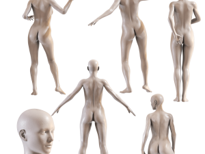 Female mannequin collection vol 04 Pbr Low Poly 3D Model
