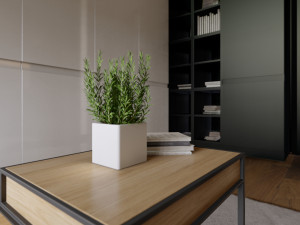 Modern Apartment Modèle 3D