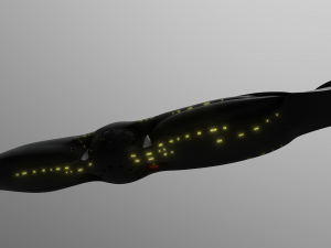 49451SeaQuestDSV 3D Model