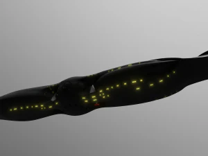 49451SeaQuestDSV Modello 3D