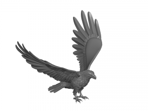 amazing eagle Modèle 3D