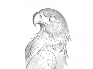 rilievo dell'aquila Modello 3D