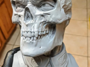 redskull 3D Print Model