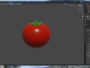 помідор 3D Модель