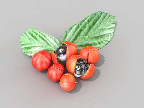Guarana da Amazonia Modello 3D