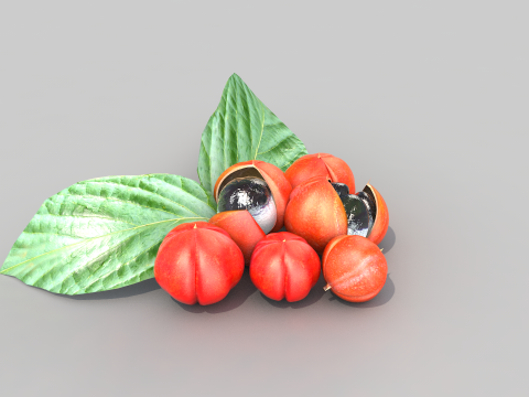 Guarana da Amazonia Modello 3D