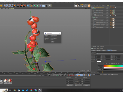 Guarana da Amazonia Modello 3D
