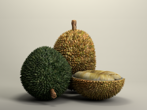 Fruta Durian Exotic 3D Model
