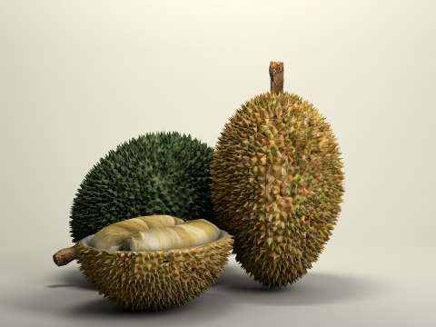 Fruta Durian Exotic 3D Model