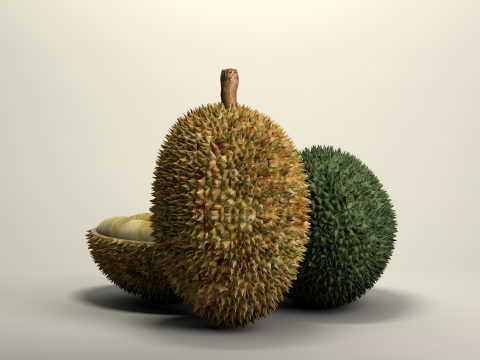 Fruta Durian Exotic 3D Model