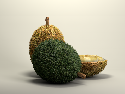 Fruta Durian Exotic 3D Model