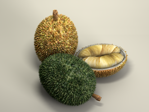 Fruta Durian Exotic 3D Model
