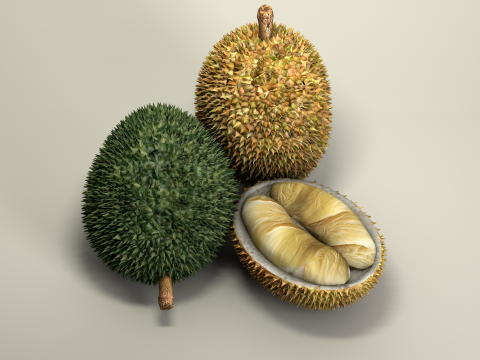 Fruta Durian Exotic 3D Model