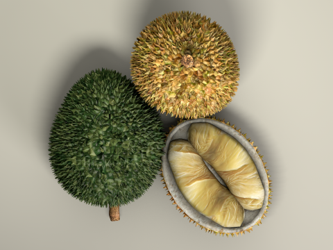 Fruta Durian Exotic 3D Model
