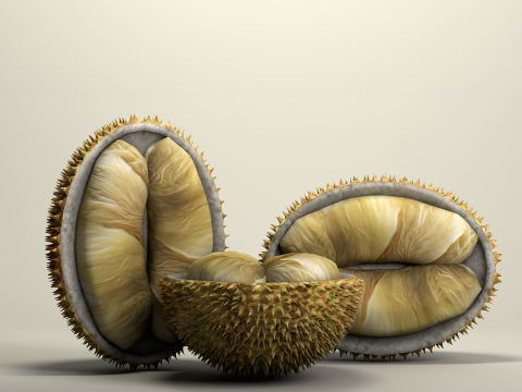 Fruta Durian Exotic 3D Model