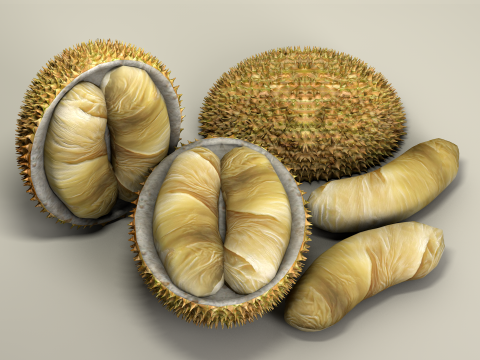 Fruta Durian Exotic 3D Model