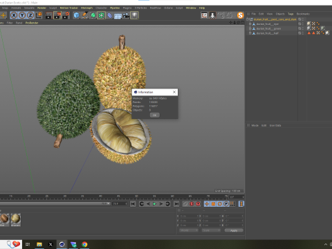 Fruta Durian Exotic 3D Model