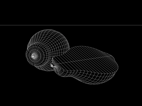 Fruta mamao 3D Model