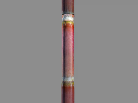 Cana de acucar 3D Model