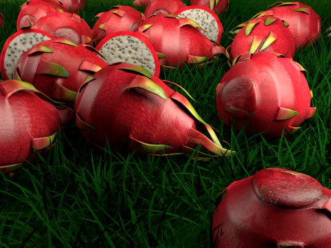 Fruta pitaya 3D Model