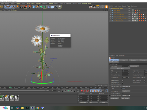 Daisy Flower Nature Model 3D