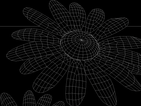Margarida rosa Modelo 3D