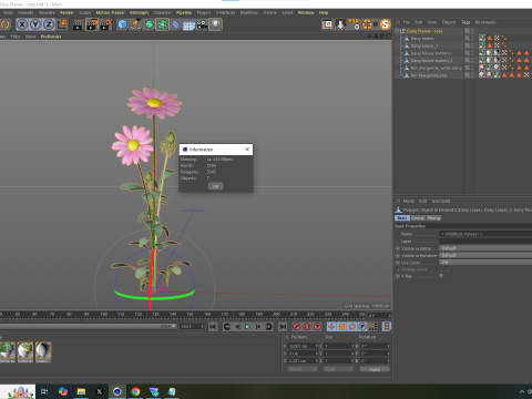 Margarida rosa Modelo 3D