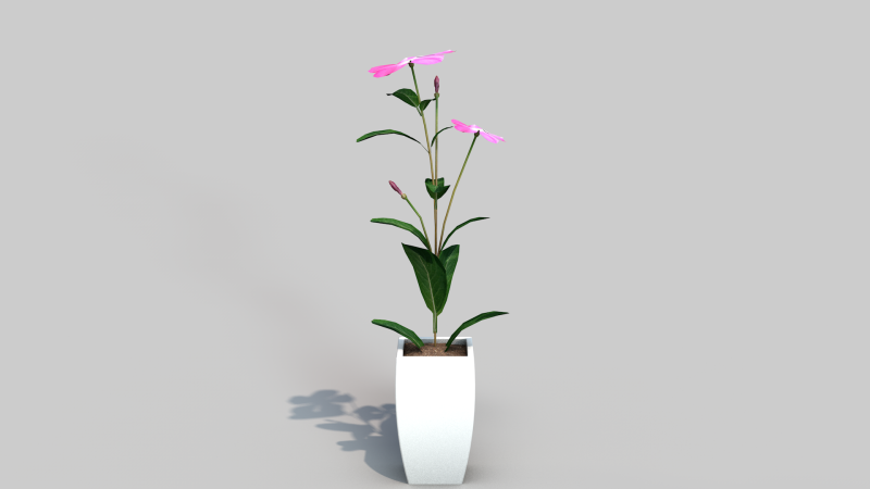 Fhower Vinca manipulada 3D Model .c4d .max .obj .3ds .fbx .stl .blend