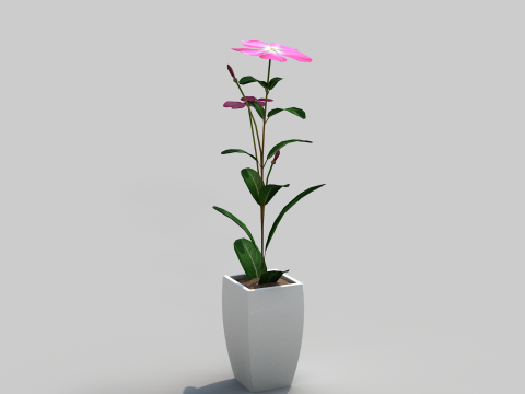 Fhower Vinca manipulada 3D Model