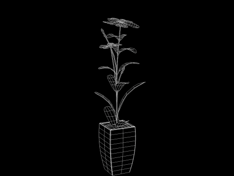 Fhower Vinca manipulada 3D Model