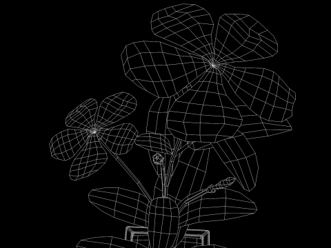 Fhower Vinca manipulada 3D Model