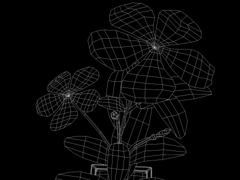 Fhower Vinca manipulada Modelo 3D