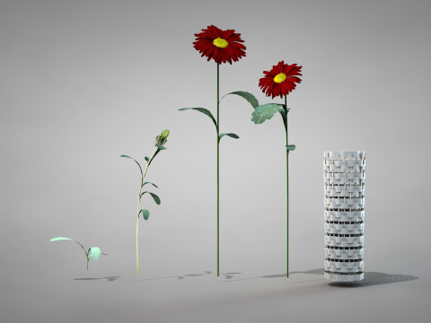 Flor Crisntemo Vermelho Modelo 3D