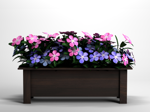 Vaso Flores Vinca De Madagascar Modelo 3D