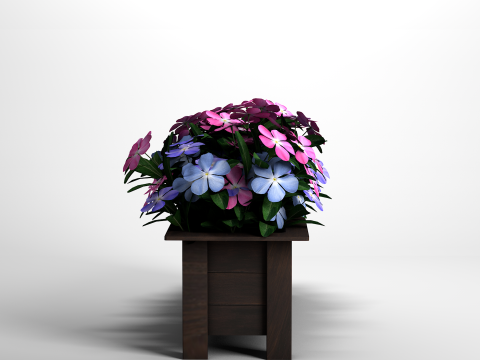 Vaso Flores Vinca De Madagascar Modelo 3D