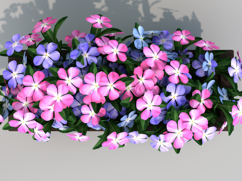 Vaso Flores Vinca De Madagascar Modelo 3D