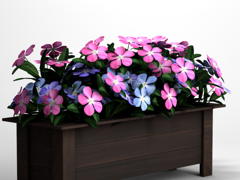 Vaso Flores Vinca De Madagascar 3Dモデル
