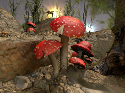 Cogumelos Rotkappe 3D Modell