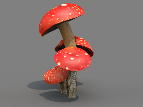 Cogumelos Red Cap Modelo 3D