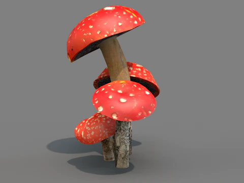 Cogumelos Red Cap 3D Model