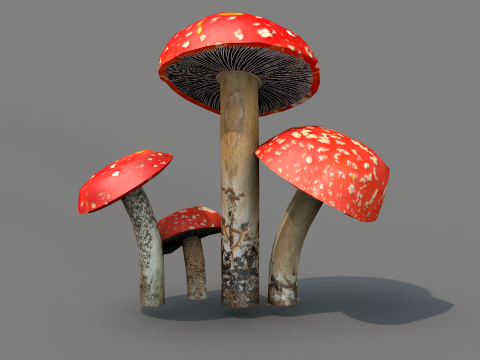 Cogumelos Red Cap Modelo 3D
